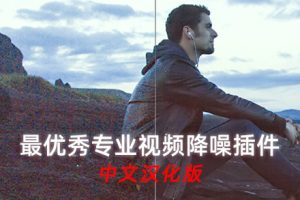 AE/达芬奇插件-最优秀专业视频降噪插件 Neat Video Pro 5.6.0 Win汉化版+使用教程