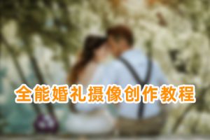 婚礼教程-全能高端婚礼摄像创作 器材/灯光/摆姿/婚前创作等… SY19