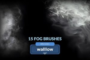 PS笔刷-15种烟雾和薄雾photoshop数字画笔 15 Fog Brushes