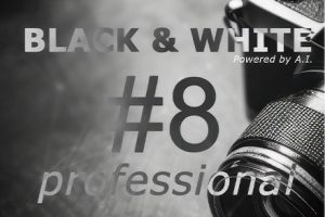 软件- 专业黑白图片处理 Franzis BLACK WHITE projects 8 professional 8.25汉化版
