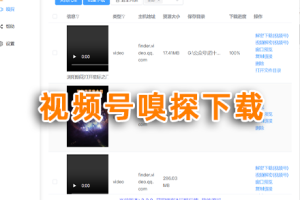 软件-（更新）网页视频下载