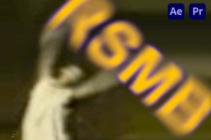 AE/PR中文插件-RSMB动态运动模糊效果 ReelSmart Motion Blur 6.4.4 Win