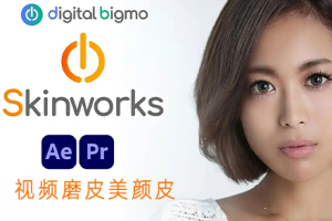 AE/PR中文插件-视频一键磨皮美颜皮肤美白修饰插件包 Digitalbigmo Skinworks 2024.11.00 Win CE