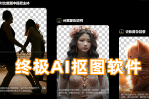 软件-AI人工智能一键抠图软件Aiarty Image Matting v2.5 中文版