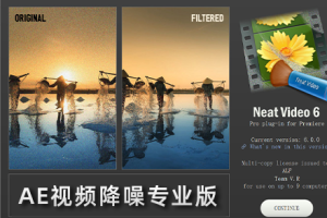 AE中文插件-优秀专业视频画面降噪插件 Neat Video Pro V6.0.0 Win 汉化版