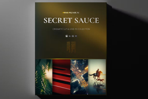 LUT预设/教程-热门电影短片调色预设套装+中英文字幕色彩校正和色彩分级大师课程及练习素材+ 灰片视频  Reilin Joey – The Secret Sauce (Premium)