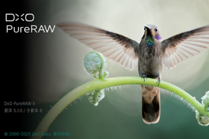 软件-最好的RAW增强清晰降噪校正软件DxO PureRAW v5.1.0 中文版WINX64