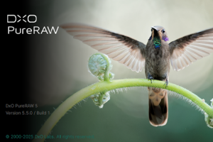 软件-最好的RAW增强清晰降噪校正软件DxO PureRAW v5.6.0 中文版WINX64   hqwy