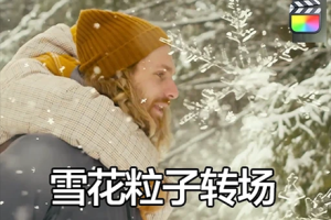 FCPX插件-17个电影级雪花粒子转场预设 Realistic Snow Transition