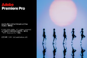软件-Premiere Pro 2025 v25.6.4 (x64) 中文直装版