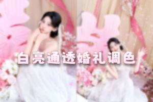 调色预设-最新白亮通透婚礼调色预设pdyl 支持PS/LR/飞思/PR/FCPX/AE/剪映/达芬奇