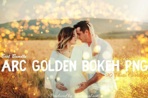 图片素材-90张逆光人像摄影后期金色散景光斑光照效果叠 90-ARC-Golden-Bokeh-PNG