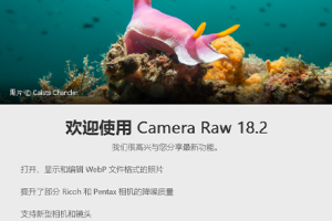 PS插件-ACR正式版独立完整安装包 Adobe Camera Raw v18.2 直装版更新  hqwy