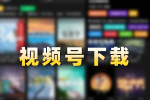 软件-视频号下载WX