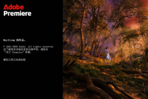 软件-Premiere Pro 2026 v26.0.1(x64) 中文激活 直装版