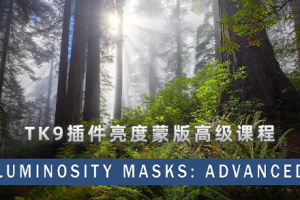 TK9教程-肖恩·巴肖(SeanBagshaw)TK9插件亮度蒙版高级课程-中英字幕 Luminosity_Masks_Advanced_course