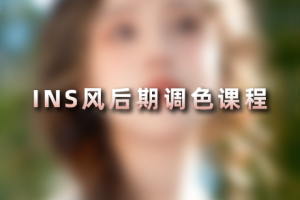 修图教程-INS风后期调色课程 RX79