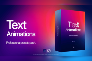 AE/PR模板-文字标题出入动画效果预设 Text Animation
