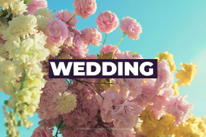 LUT预设-20款婚礼调色滤镜 打造浪漫唯美婚片色调 Wedding LUTs