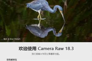 PS插件-ACR正式版独立完整安装包 Adobe Camera Raw v18.3.0 直装版更新  hqwy