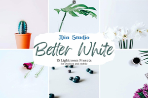 PS/LR预设-Din Studio工作室系列LR预设 明亮通透清新调色Lightroom预设