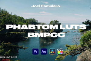 LUT预设- BMPCC转阿莱Alexa 和LUT预设 BMD LUT“ARRI Looks”“Film Looks 4K & 6K