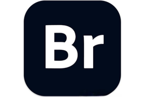 软件- Bridge 2026v16.0.7中文一键直装版 支持右键ACR编辑  (BR2026图像管理软件) WIN