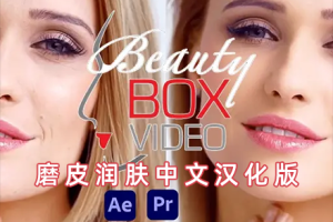 AE/PR中文插件-视频磨皮人像美容润肤美颜工具 Beauty Box V6.5.0 中文汉化 支持Win